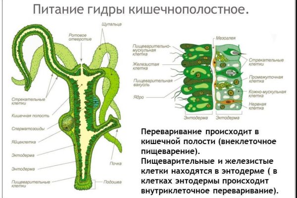 Можно вывести деньги с кракена