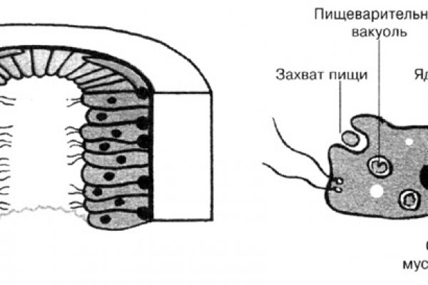 Кракен тор ссылка сегодня