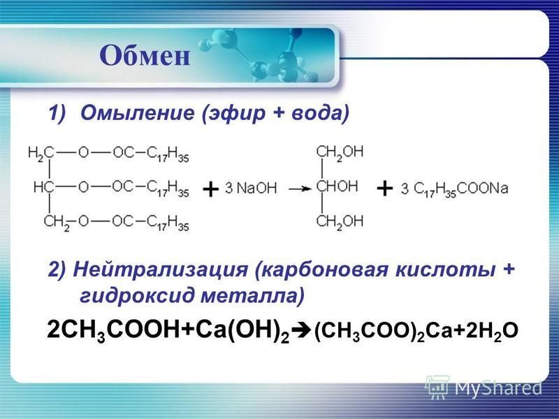Рабочая ссылка кракен в тор